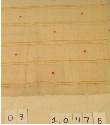 Philippine Textile 1900. detail.JPG