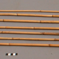 Bamboo arrows with barbed iron heads