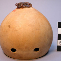 Cocoanut vessel