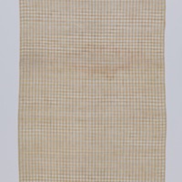 Textile (Piña )