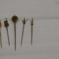 Toothpick (Tagalen)