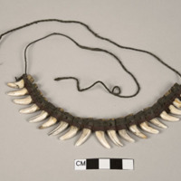 Dog tooth necklace