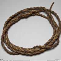 Rattan rope. (V.66.34)