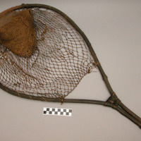 Net for catching locusts