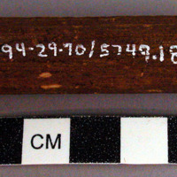 Unclassified tool, cylindrical pith fragment, ends cut straight