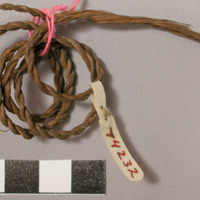 Tie string for rice sheaves, made from bark of small forest tree