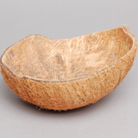 Aeta Coconut Bowl