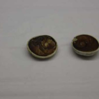 Snail Shell Earrings (Manobo)
