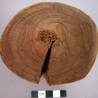gar-lik-on wood, from which 08-36-70/74300 are made