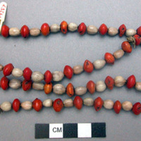 Necklace of red and white seeds