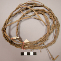 cord of woven leaves of wild forest plant