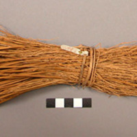 Reed broom