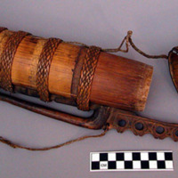 Quiver with blow-gun darts